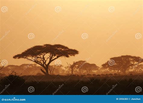 Kenya Landscape stock image. Image of national, kenya - 2056383