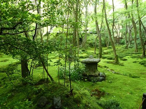 Moss Garden - Japan | Moss garden, Spiritual garden, Japanese garden ...