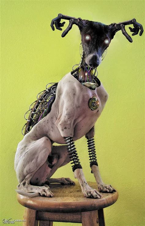 Bionic Dog - Worth1000 Contests | Robot animal, Robot art, Animals