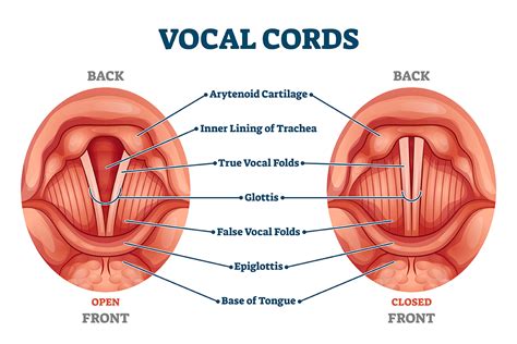 Parkinson’s Symptoms: “OPEN WIDE” – A Trip Down Our Throat - MedFitNetwork