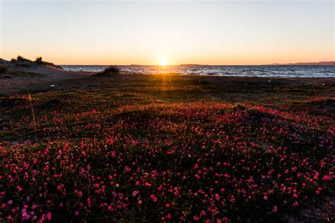 Photography of Mountains During Sunrise · Free Stock Photo