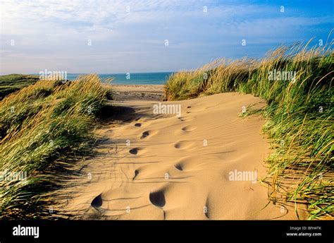 Sand dunes. Cavendish Beach, PEI National Park, Prince Edward Island ...