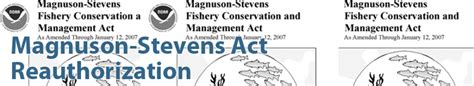 Magnuson-Stevens Act Reauthorization – Marine Conservation Alliance