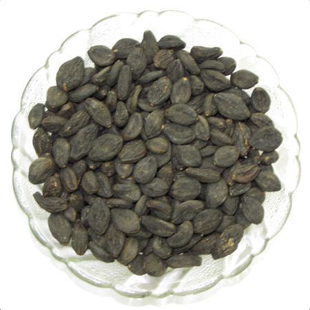 Terminalia Chebula Seeds Exporter,Terminalia Chebula Seeds Manufacturer & Supplier,India