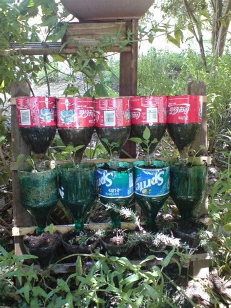 40 Brilliant plastic bottle garden ideas