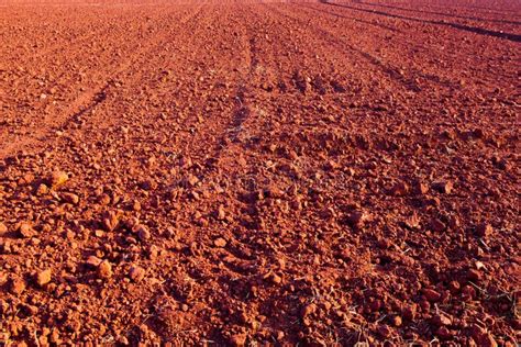 Laterite Soil in India, Laterite Rock Meaning, Is Found In