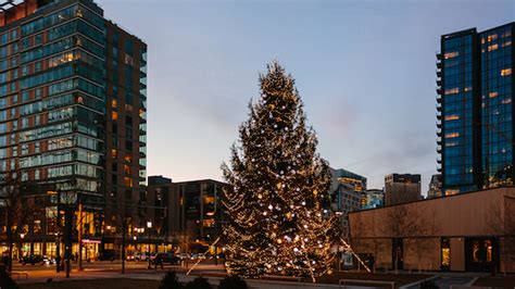 Boston’s Seaport to transform into enchanted wonderland with winter games, Christmas tree market ...