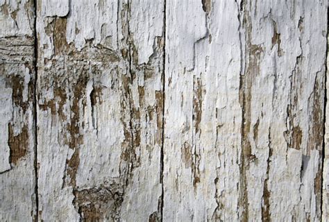 Download white wood fence texture | Textures for photoshop free