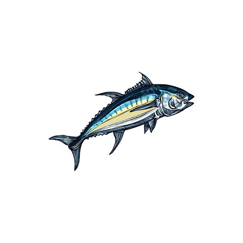 Bluefin Tuna Vector Hd Images, Atlantic Bluefin Tuna Isolated Saltwater Fish Sketch, Tyhunnini ...