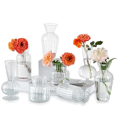 8Pcs/ Set Small Vase Different Geometric Stripe Shape, Bud Vases in Bulk Simplicity Clear, Cute ...