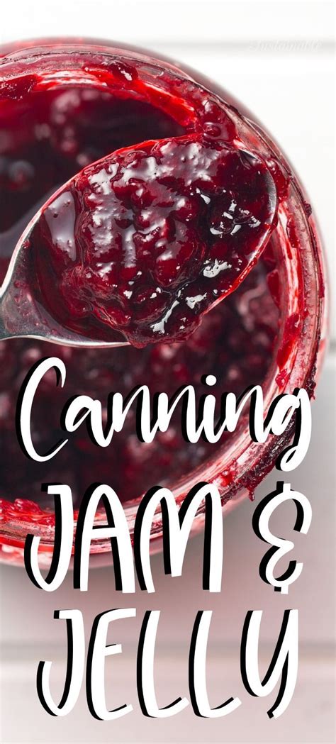 Canning Jams, Jellies, and Other Preserves (And 100+ Recipes to Get You Started!) | Jam and ...