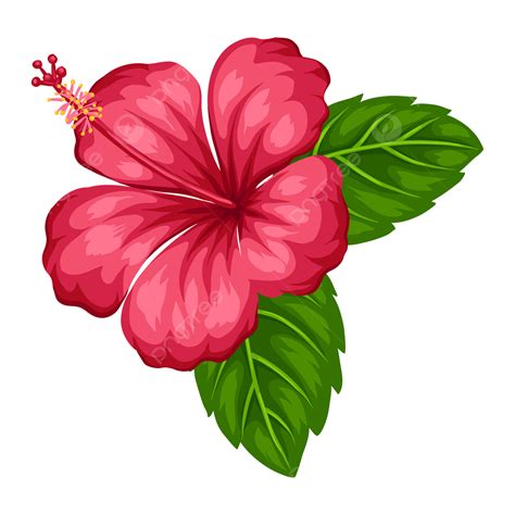 Hibiscus Tropical Flowers Vector Art PNG, Illustration Of Tropical ...