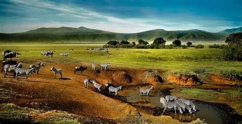 The Ngorongoro Crater | Tanzania Wildlife Safari | Explore Tanzania