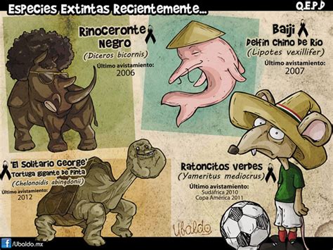 Especies extintas recientemente| Mediotiempo