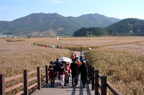 Suncheon Bay Mujin Bridge