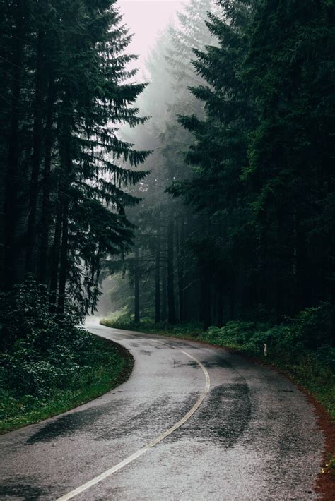 Christian Hartmann - 'Rainy Road' | Photocircle.net