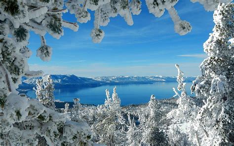 Lake Tahoe in Winter, USA, stones, California, snow, trees, HD ...