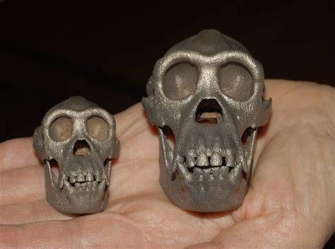 Chimpanzee skull 52mm (JV6K732SG) by Camazine