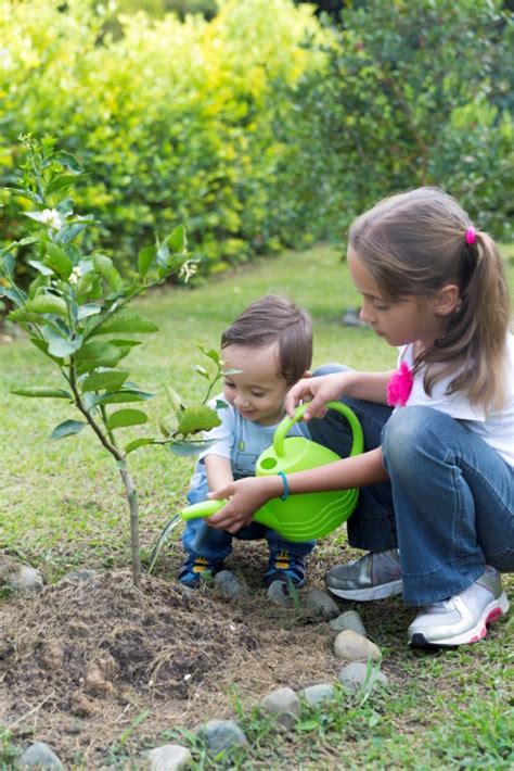 5 Healthy Hobbies for Preschool Children - Dublin OH Preschool