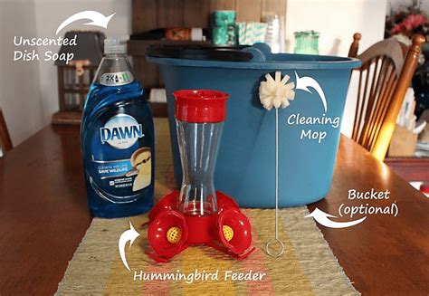 How to Clean a Hummingbird Feeder [Our 9 Step Guide] - Birdwatching Buzz