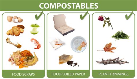 What can I compost? - San Rafael