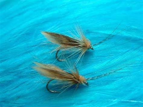 caddis dry fly - McPhail | Fly fishing, Caddis, Fly tying