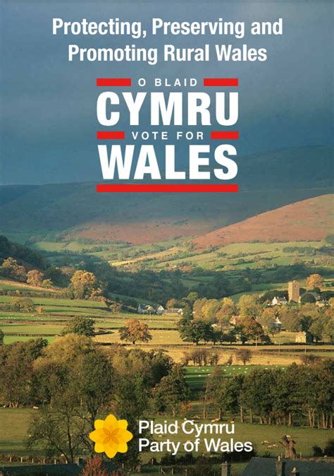 Plaid Cymru Manifesto 2021 – Let Us Face the Future Together - Deryn ...