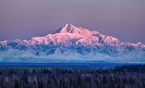 Winter at Talkeetna Alaskan Lodge | Denali to the North, Aurora Above