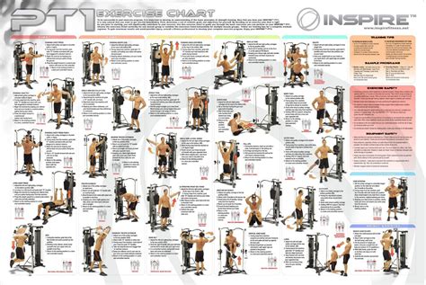 Total body workout, Workout apps, Cable workout