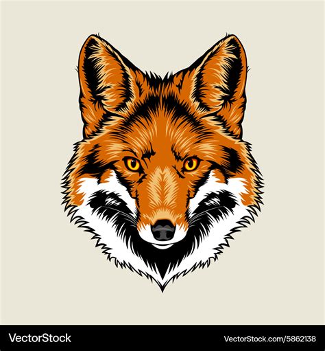 Red fox head Royalty Free Vector Image - VectorStock