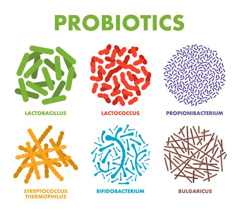 How to choose the best probiotics?