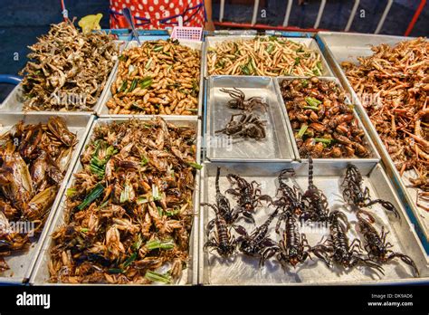 fried insects for sale at the night market in Chiang Mai, Thailand Stock Photo: 63515346 - Alamy