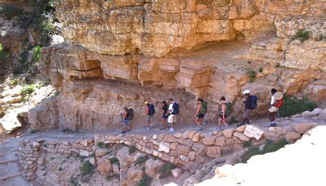 Guided Daily Grand Canyon Hikes - All-Star Grand Canyon Tours