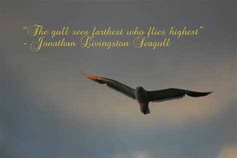 Jonathan Livingston Seagull Quotes. QuotesGram