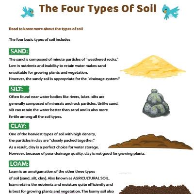 Types Of Soil Fact Sheet (Teacher-Made) Twinkl, 47% OFF