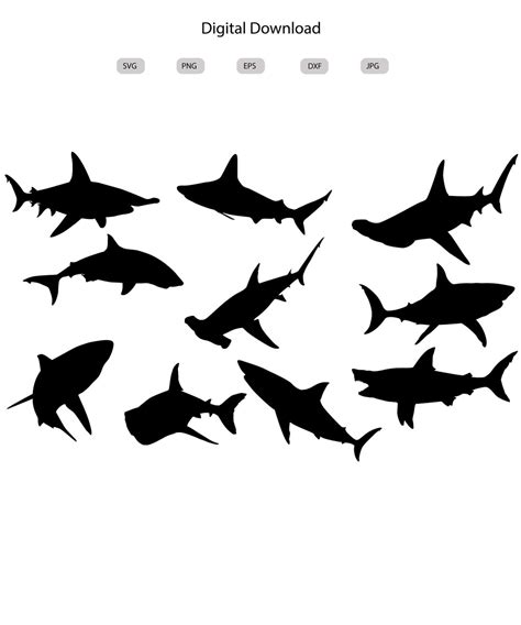 Shark Svg Shark Silhouette Shark Svg Bundle Shark Svg Design Shark Cut ...