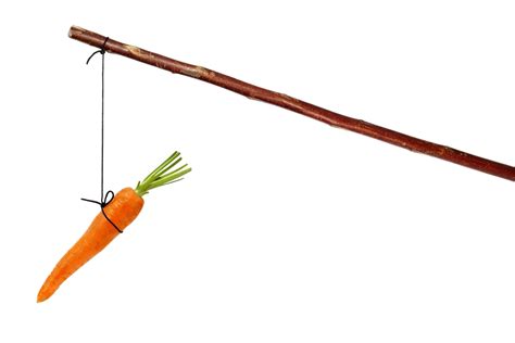 Carrot or Stick?