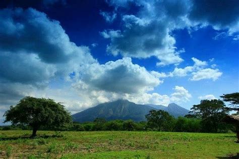 Baluran National Park, Situbondo: лучшие советы перед посещением ...