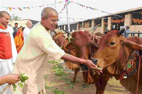 Cow protection - ISKCON EASY