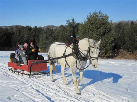 Sleigh Rides | Bella Vista Luxury Estate | Steamboat Springs Colorado