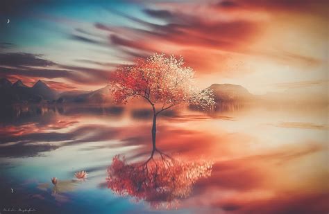 Wallpaper : digital art, 500px, Mehdi Mostefa, nature, trees, water, reflection, fantasy art ...