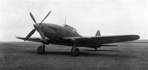 Ilyushin Il-8, 1944 (2) | Aircraft of World War II - WW2Aircraft.net Forums