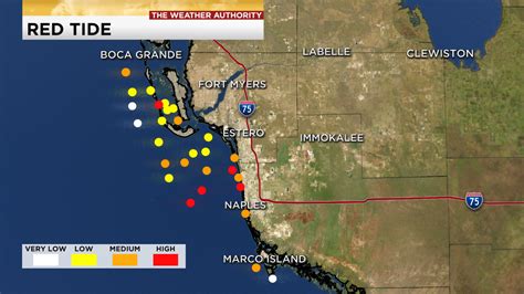 Red tide impacts increasing in Southwest Florida