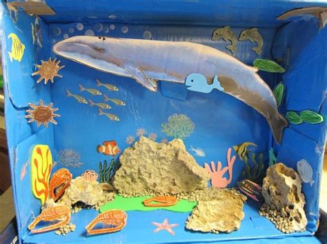 Nap Time News: Nora's Habitat Diorama - The Blue Whale | Diorama kids ...