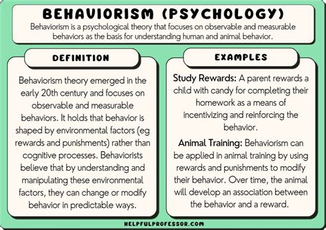 17 Behaviorism Examples (2024)