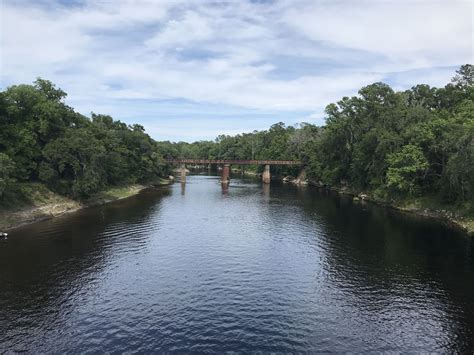 Suwannee River near Lee Florida | River, Florida, Outdoor