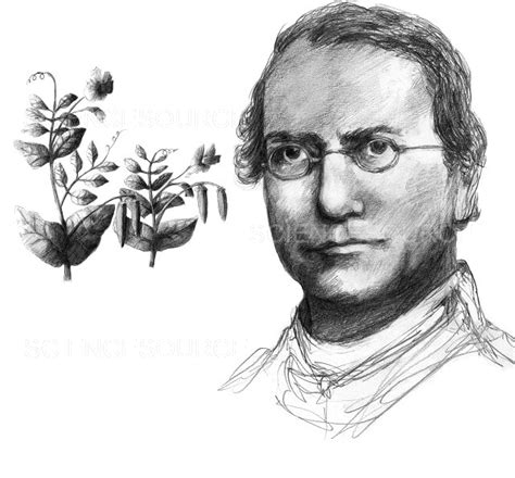 Photograph | Gregor Mendel, Father of Genetics | Science Source Images