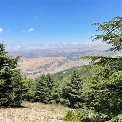 Immerse Yourself in Lebanon's 8 Best nature reserves to Visit