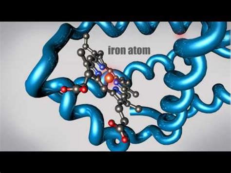 For 10/2: Protein Folding | Biology 1