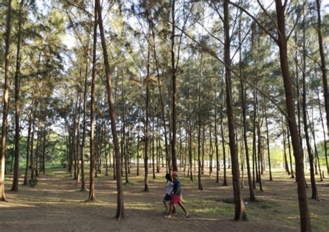 Nature retreat in Agoo ecopark | Inquirer News